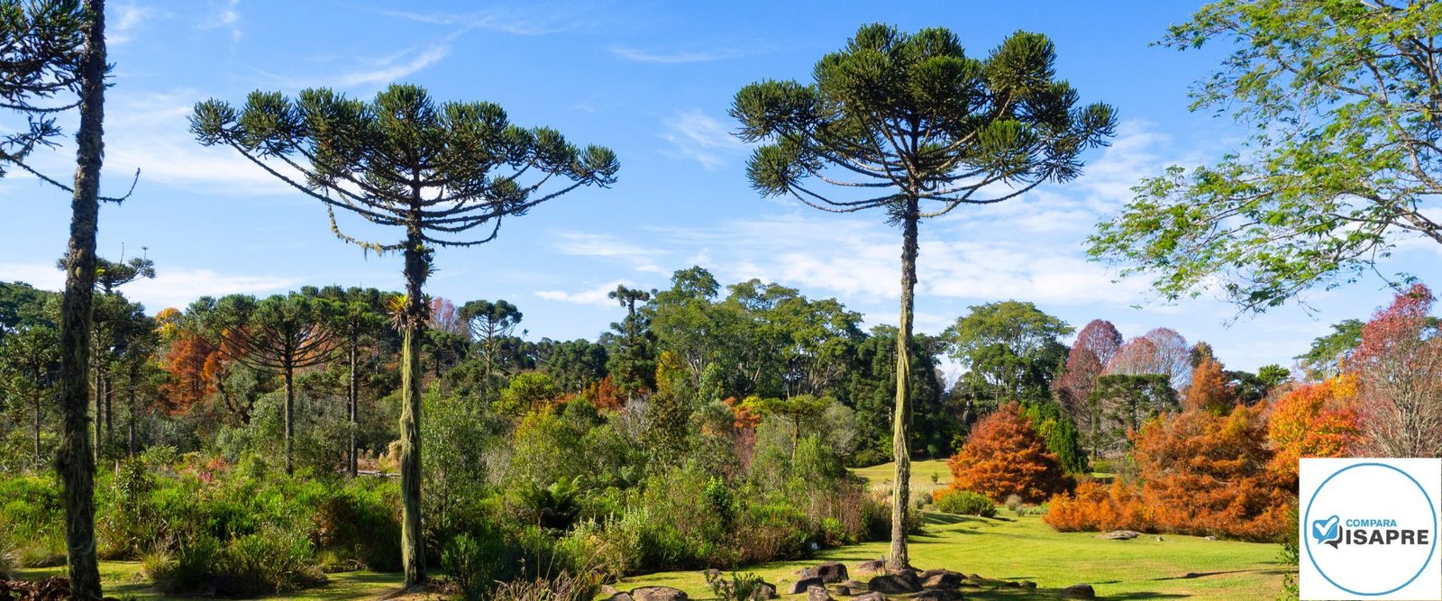 plan de ISAPRE para temuco
